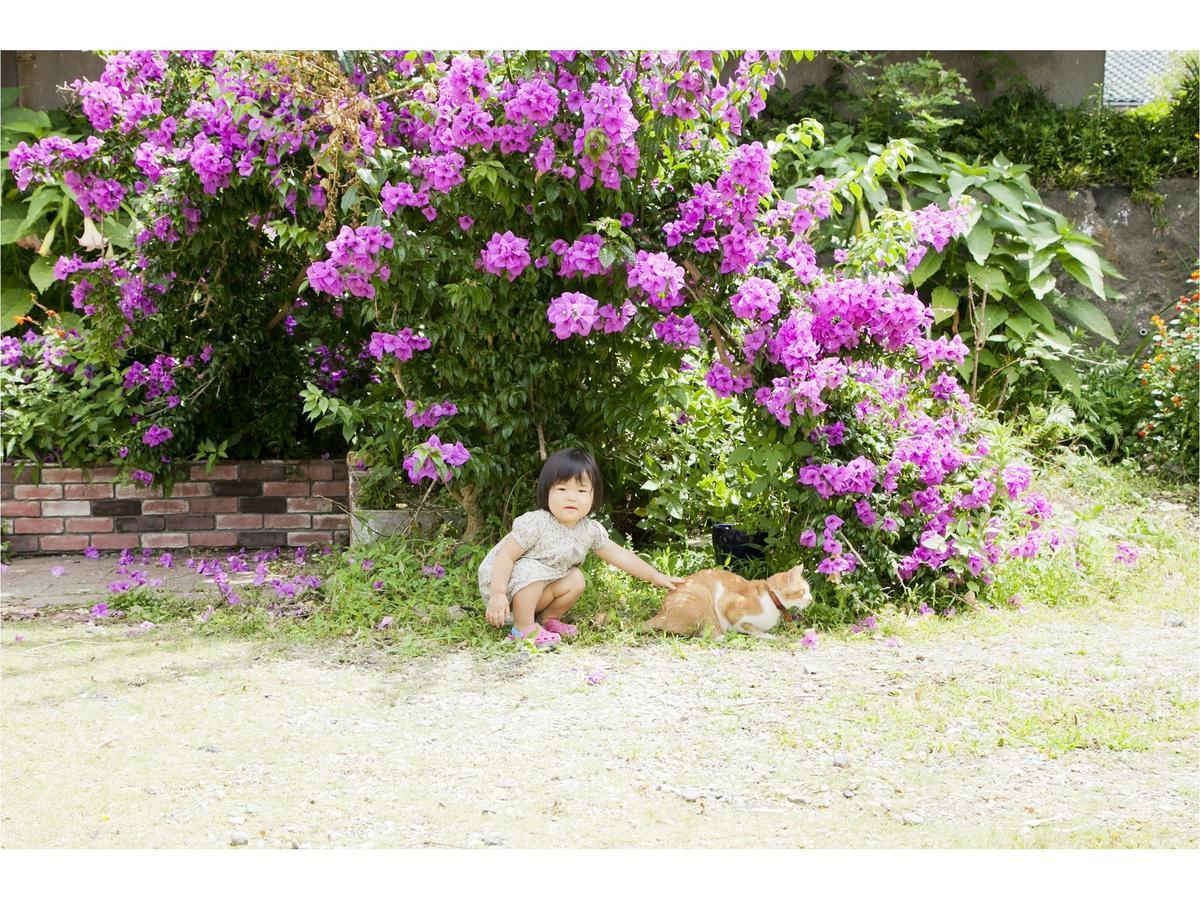 Pension Atca 立山町 外观 照片